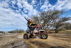 Fra De forente arabiske emirater: Dibba Dhow Cruise med lunsj og ATV med henting