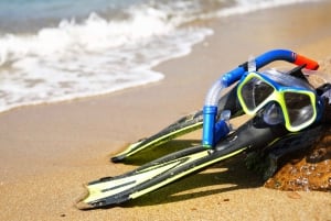Salalah pod wodą: Odkryj raj do snorkelingu w Mirbat