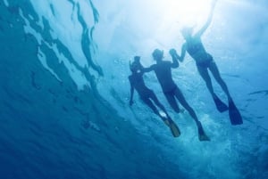 Salalah sott'acqua: Scopri il paradiso dello snorkeling di Mirbat