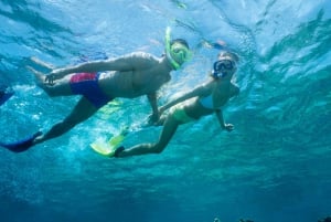 Salalah under vann: Oppdag Mirbats paradis for snorkling