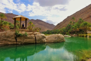 Wadi bin Khalid & Wahiba Sands Sunset Desert Safari