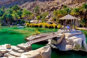 Wadi bin Khalid & Wahiba Sands Sunset Desert Safari