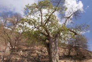 Fall Hiking Trails in Oman: A Nature Lover's Guide