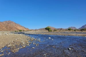 وادي إندام: مغامرة UTV مع سائق خبير