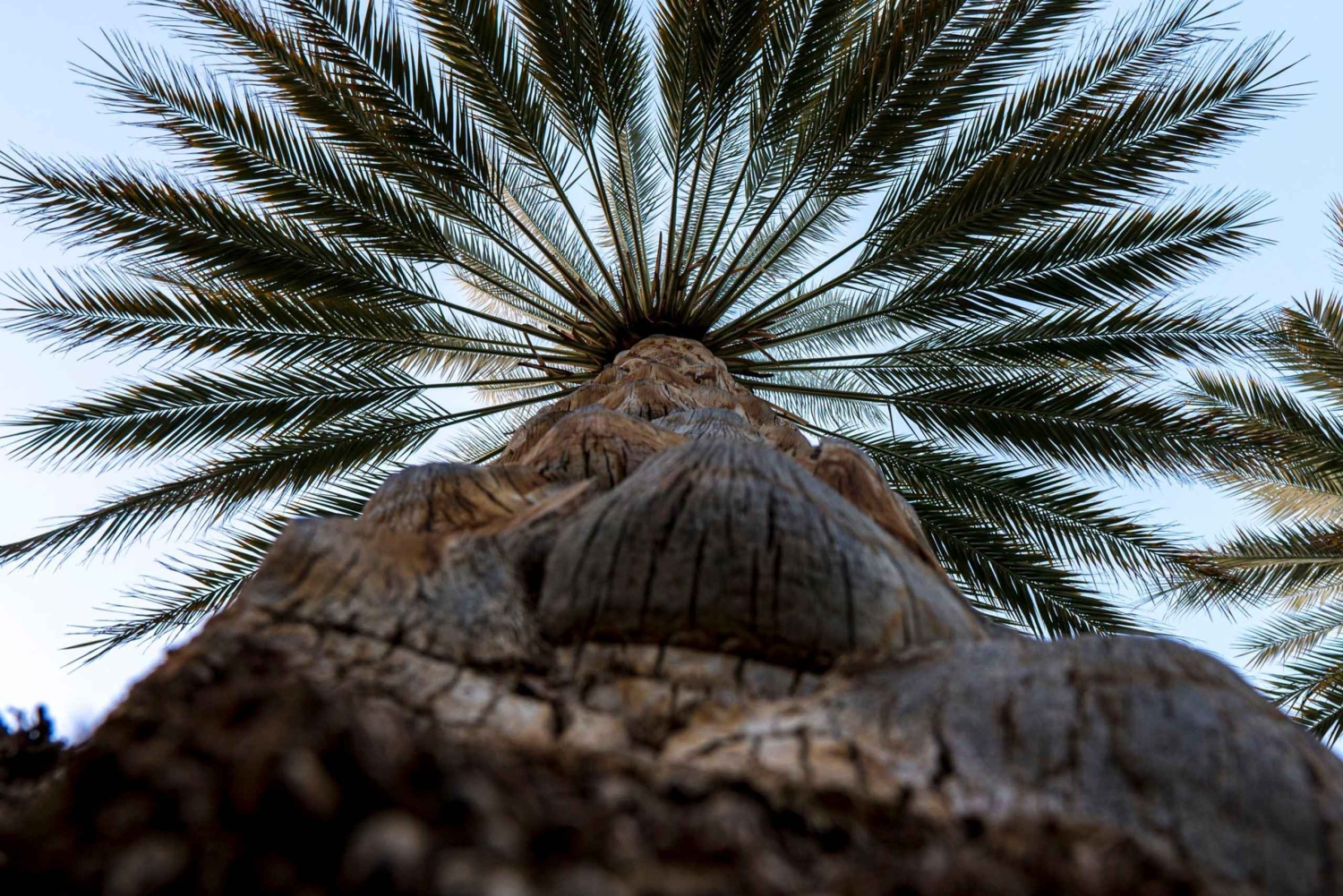 Wadi Shab: Adventure Tour With Cave Swim & Waterfall Visit