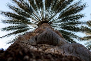 Wadi Shab: Adventure Tour With Cave Swim & Waterfall Visit