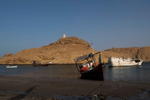 Wadi Shab: Adventure Tour With Cave Swim & Waterfall Visit