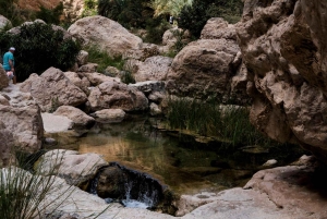 Wadi Shab: Adventure Tour With Cave Swim & Waterfall Visit