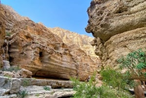 Muscat: Wadi Shab ja Bimmahin vajoama - kokopäiväretki