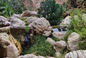 وادي الشاب وحوض بيما وكهف على شكل قلب وشاطئ بيبل