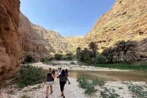 Vandring i Wadi Shab