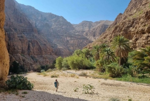 Vandring i Wadi Shab