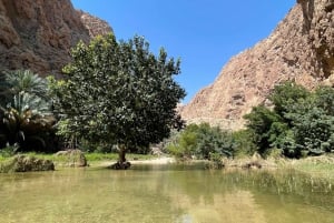 Muscat: Wadi Shab, Romantische Höhle und Sinkhole Ganztägige Tour