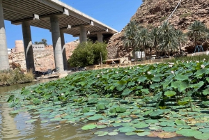 Muscat: Wadi Shab, Romantische Höhle und Sinkhole Ganztägige Tour