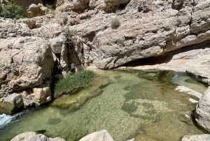 Muscat: Wadi Shab, Romantische Höhle und Sinkhole Ganztägige Tour