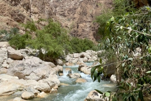 Muscat: Wadi Shab, Romantische Höhle und Sinkhole Ganztägige Tour