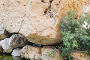 Muscat: Wadi Shab, Romantische Höhle und Sinkhole Ganztägige Tour