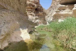 Muscat: Wadi Shab, Romantische Höhle und Sinkhole Ganztägige Tour