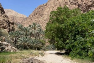 Muscat: Wadi Shab, Romantische Höhle und Sinkhole Ganztägige Tour