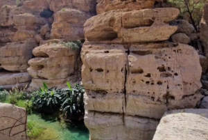 Wadi Shab tour