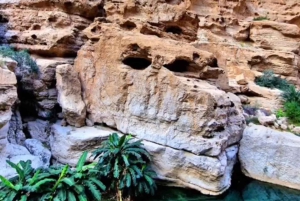 جولة وادي الشاب