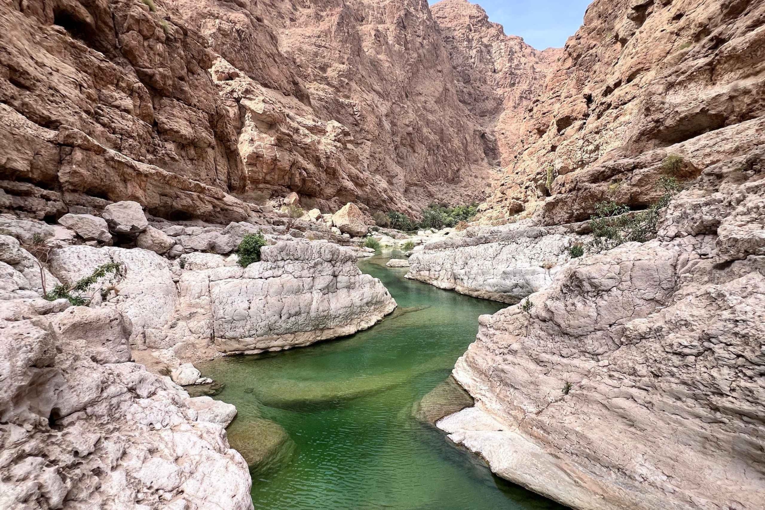 Wadi Tiwi e Wadi Shab: aventura guiada de dia inteiro