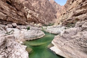 Wadi Tiwi e Wadi Shab: aventura guiada de dia inteiro