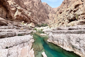 Wadi Tiwi e Wadi Shab: aventura guiada de dia inteiro