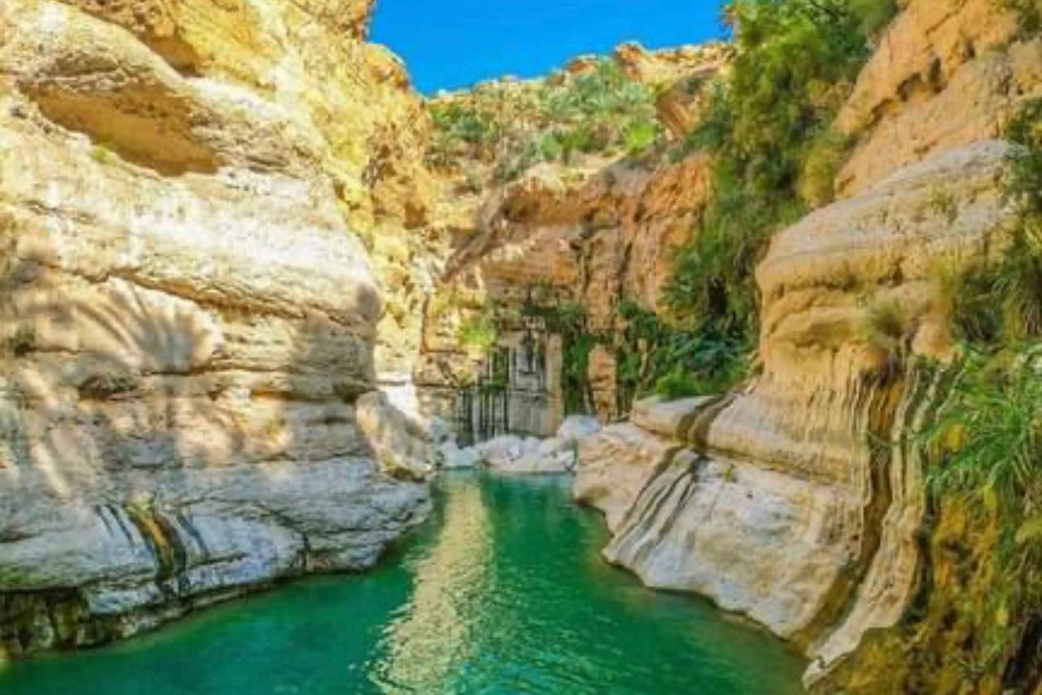 Wahiba Desert bil med firehjulstrekk Safari og Wadi Bani Khalid Swim Adventure