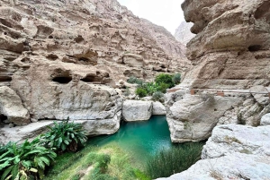 Wahiba Desert bil med firehjulstrekk Safari og Wadi Bani Khalid Swim Adventure