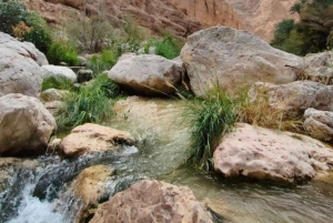 Wahiba Desert bil med firehjulstrekk Safari og Wadi Bani Khalid Swim Adventure