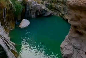 Wahiba Desert bil med firehjulstrekk Safari og Wadi Bani Khalid Swim Adventure