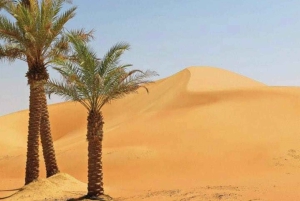 Wahiba Desert bil med firehjulstrekk Safari og Wadi Bani Khalid Swim Adventure