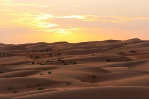 Wahiba Desert bil med firehjulstrekk Safari og Wadi Bani Khalid Swim Adventure