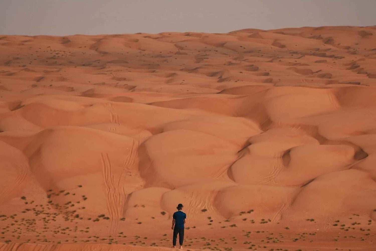 جولة في صحراء وهيبة ووادي بني خالد