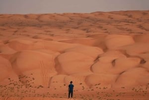 جولة في صحراء وهيبة ووادي بني خالد