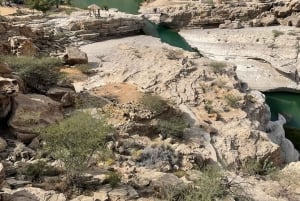 جولة في صحراء وهيبة ووادي بني خالد