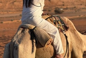 جولة في صحراء وهيبة ووادي بني خالد