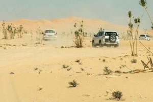 Excursão guiada em grupo a Wahiba Sand e Wadi Bani Khalid