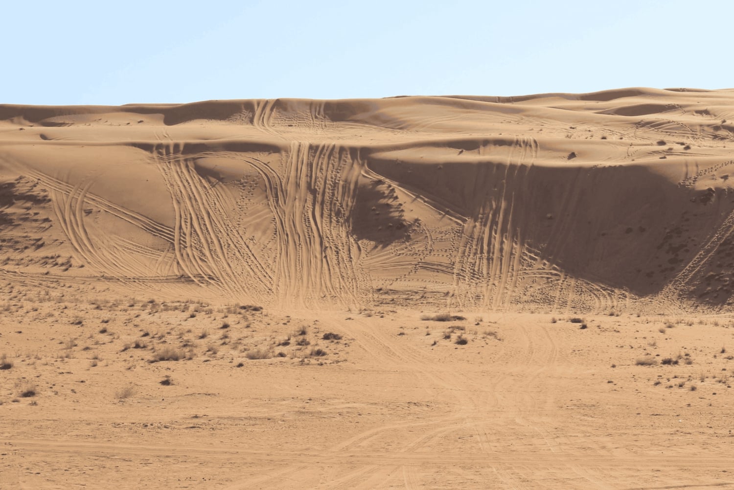Visite d'une jounée des sables de Wahiba et du Wadi Bani Khalid au départ de Mascate
