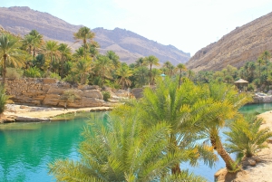 Wahiba Sands and Wadi Bani Khalid Full-Day Tour from Muscat