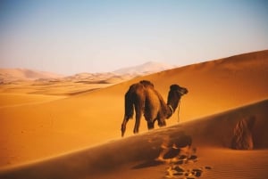 Wahiba Sands Desert - Wadi Bani Khalid