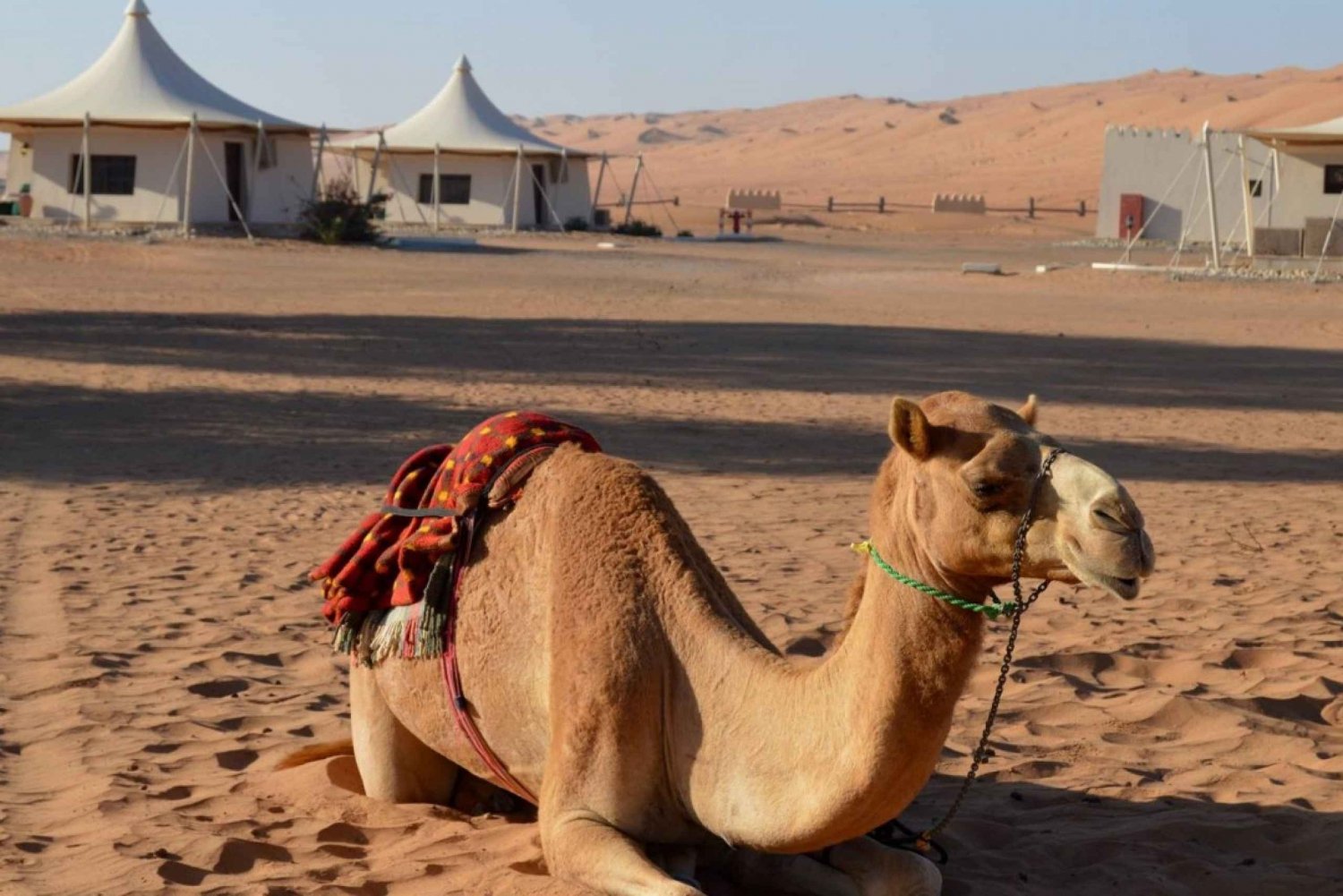 Wahiba Sands & Wadi Bani Khalid (Full Day) 4WD Desert safari