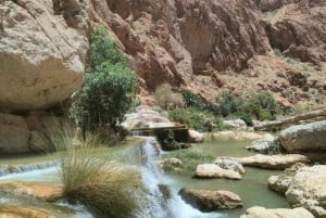 Wahiba Desert Safari Adventure , Swimm in Wadi Bani Khalid