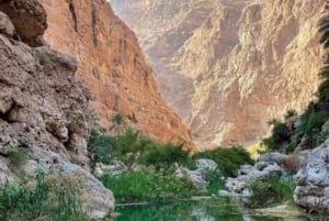 Wahiba Desert Safari Adventure , Swimm in Wadi Bani Khalid