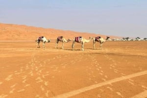 Wahiba Desert Safari Adventure , Swimm in Wadi Bani Khalid