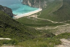 西海岸ツアー：FAZAYAH