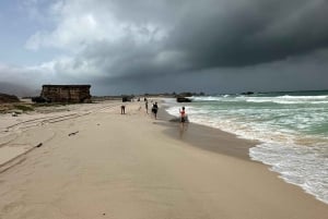 西海岸ツアー：FAZAYAH