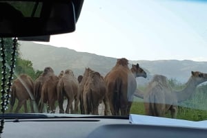 Западный Салалах: Карибы Востока Пляжи и город Фазайя