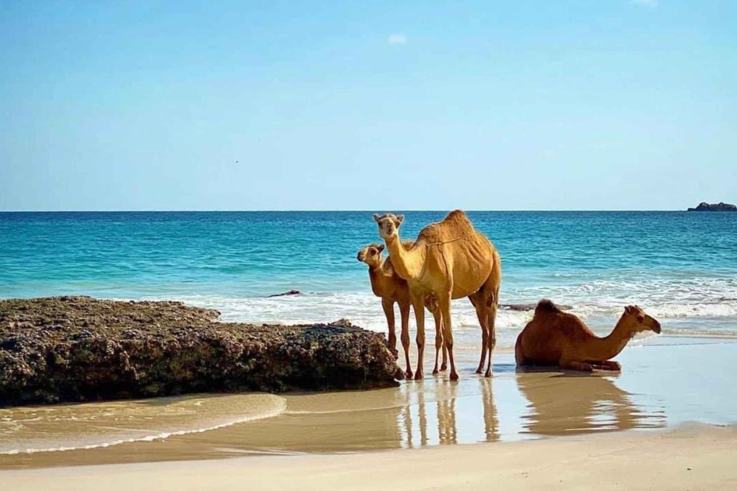 Salalah occidental: las olas de Mughsail y el pueblo de Iftalqout